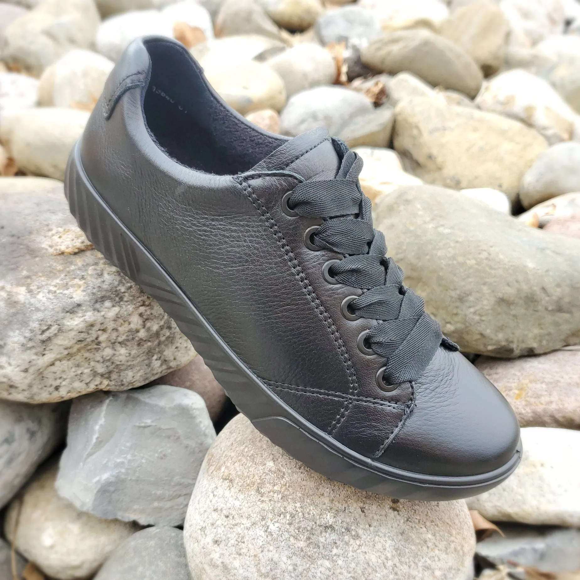 ara__alexandria_womens_bl_0.webp ARA - Alexandria Women's Black Leather Sneaker