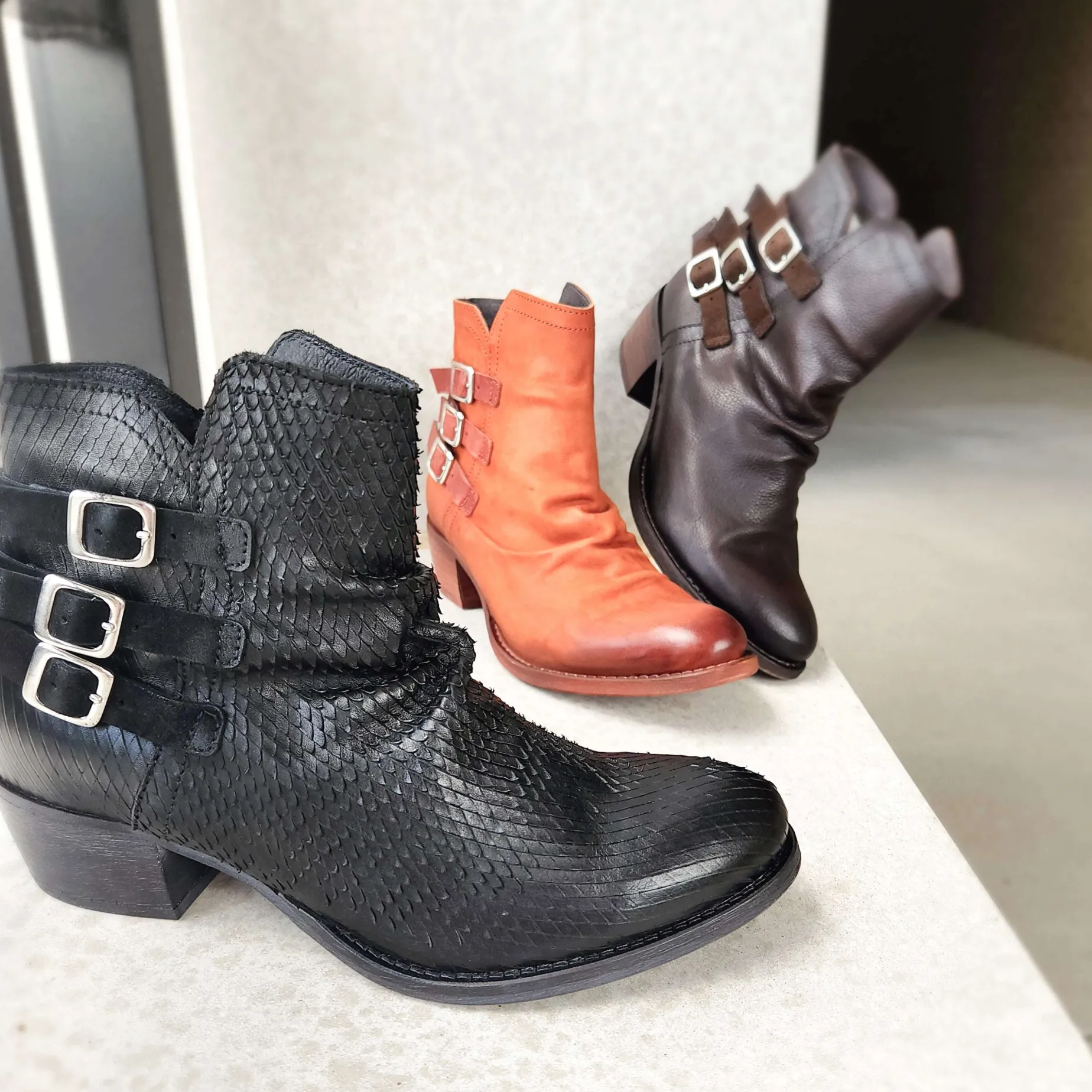 eric_michael__carlita_low_0.webp Eric Michael - Carlita Low Heel Buckle Boot