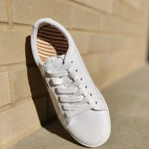 Taos - Start White Canvas Sneaker