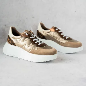 WONDERS - A-3610
